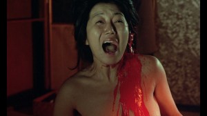 In the Realm of the Senses